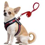 Emotional Support Service Dog Harness Vest Set