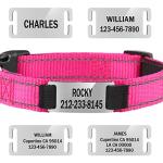 Reflective Engraved Dog Collars - Adjustable & Durable