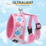 Small Dog Harness, Collar, and Leash Set