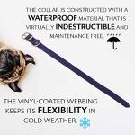 Medium Purple Waterproof Dog Collar and Leash Set