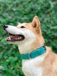 Heavy Duty Waterproof Dog Collar with Metal Hardware