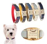 Custom Engraved Dog Collar with Name Plate