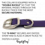 Medium Purple Waterproof Dog Collar and Leash Set