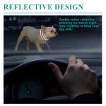 Personalized Engraved Dog Collar with Reflective Nylon
