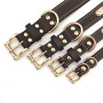 Custom Leather Dog Collar with Engraved ID Tag