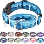 Adjustable Blue Nylon Martingale Dog Collar