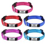 Reflective Engraved Dog Collars - Adjustable & Durable
