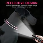 Reflective Engraved Dog Collars - Adjustable & Durable