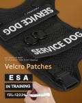 FAYOGOO Small Dog Service Vest with Leash