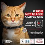 Soft Leather Cat Collar with Bell and QR Tag