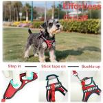 Emotional Support Service Dog Harness Vest Set
