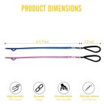 Puppy Leash and Collar Set with Air Tag Holder