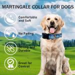 Adjustable Blue Nylon Martingale Dog Collar
