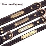 Custom Leather Dog Collar with Engraved ID Tag