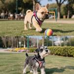 Emotional Support Service Dog Harness Vest Set