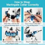 Adjustable Blue Nylon Martingale Dog Collar