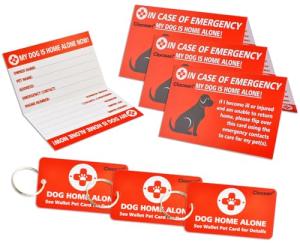 Home Alone Alert Key Tag with Emergency Contact Card