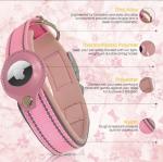 Puppy Leash and Collar Set with Air Tag Holder