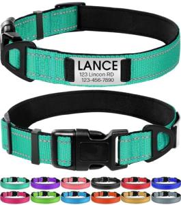 Personalized Teal Dog Collar with Engraved ID Tag