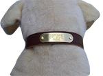 Cumberland Leather Dog Collar with Engraved ID Tag
