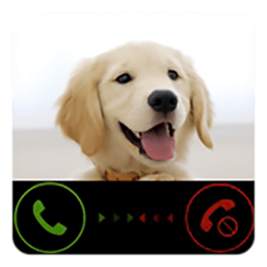 Hilarious Dog Prank Call Gag Toy