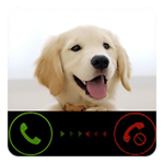 Hilarious Dog Prank Call Gag Toy