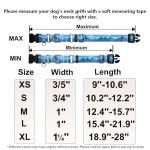 Adjustable Blue Nylon Martingale Dog Collar