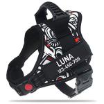 Custom No Pull Dog Harness with Name & Phone
