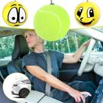 Tennis Ball Parking Aid for Garage Use