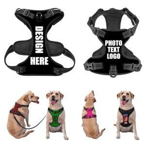 Customizable Heavy Duty Dog Harness with Leash