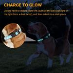 16 Pack Glow in the Dark Puppy Collars