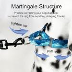 Adjustable Blue Nylon Martingale Dog Collar