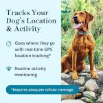 Smart GPS Dog Tracker Collar with Activity Monitor