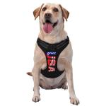 Customizable Heavy Duty Dog Harness with Leash
