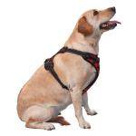 Customizable Heavy Duty Dog Harness with Leash