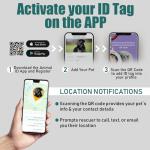 Bronzedog Leather Collar with QR ID Tag