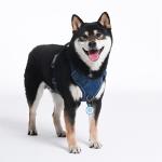 Pawaii No Pull Dog Harness with ID Tag