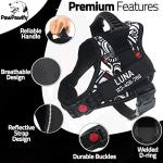 Custom No Pull Dog Harness with Name & Phone