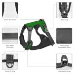 Customizable Heavy Duty Dog Harness with Leash