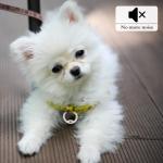 Glow in the Dark Silicone Dog Tag Silencer 8PCS