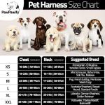 Custom No Pull Dog Harness with Name & Phone