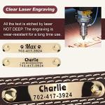 Custom Leather Dog Collar with Engravable Nameplate