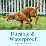 Smart GPS Dog Tracker Collar with Activity Monitor