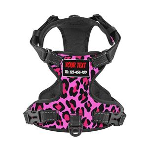 Personalized Pink Leopard Print No Pull Dog Harness