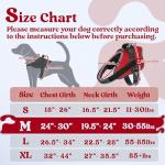 Medium No-Pull Adjustable Dog Harness with Molle