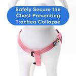 Personalized Pink Dog Harness with Custom ID Tag