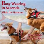 Medium No-Pull Adjustable Dog Harness with Molle