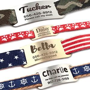 Personalized Stainless Steel Slide-On Pet ID Tags