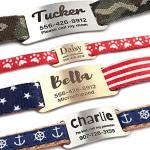 Personalized Stainless Steel Slide-On Pet ID Tags