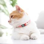 21 Pack Silent Slide-On Pet ID Tags